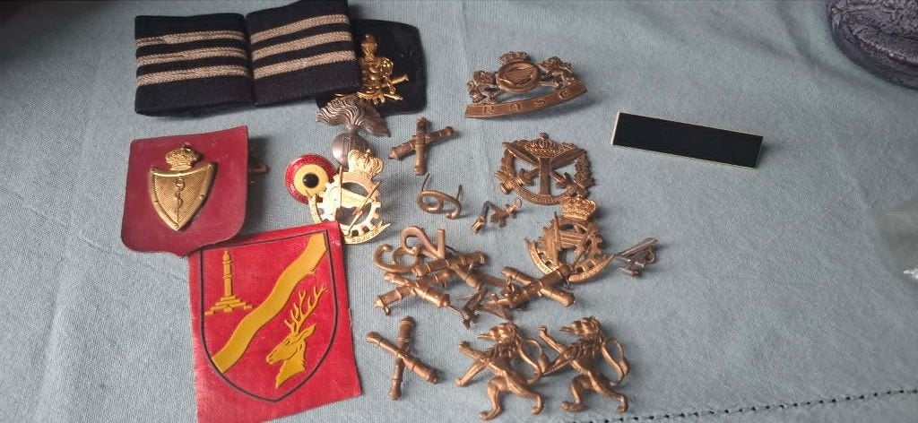 Belgique_ABL_Insignes en lot, Collections, Enlèvement ou Envoi, Armée de terre, Emblème ou Badge