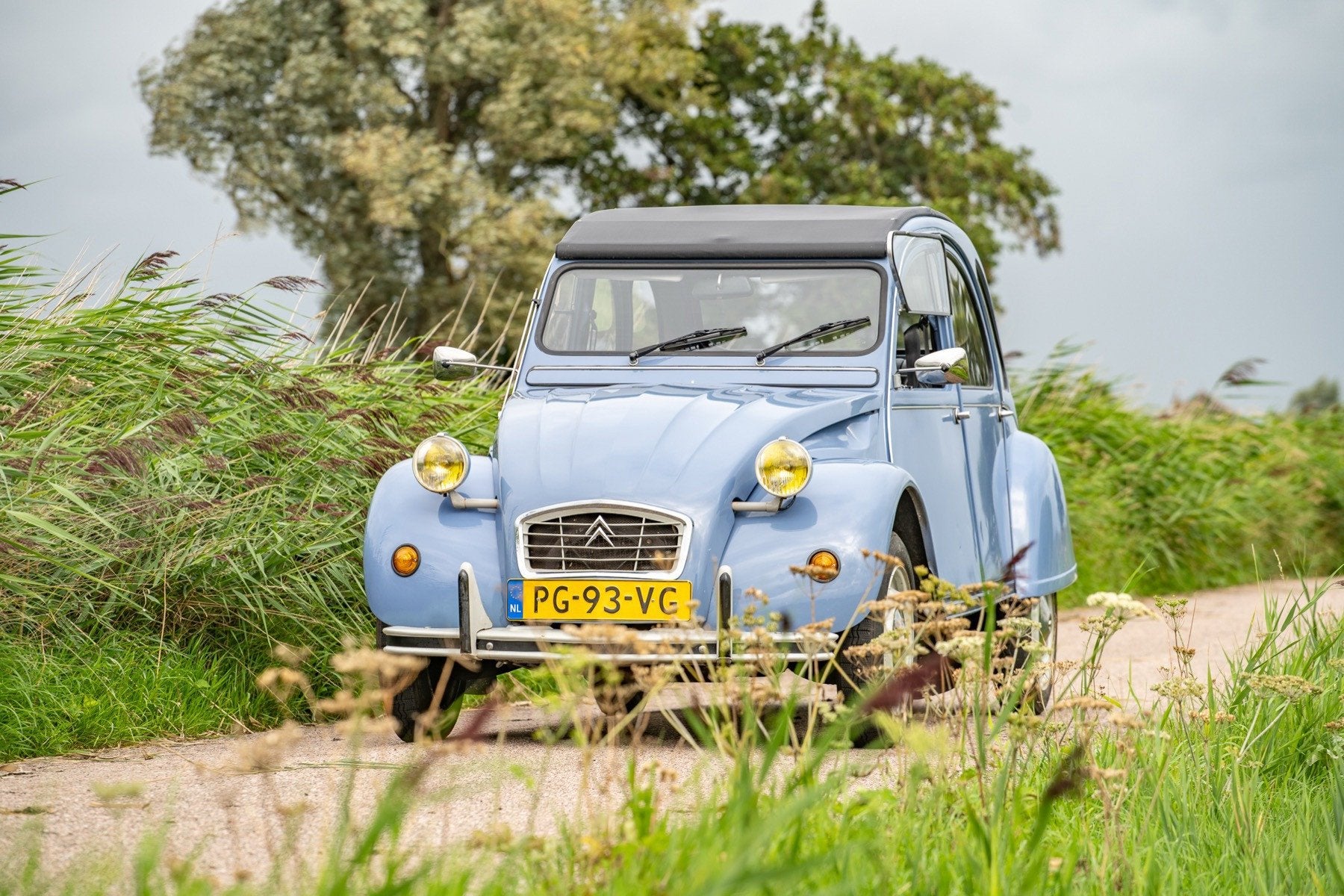 Citroen 2 CV 6 Club, Voorwielaandrijving, 4 deurs, 602 cc, Blauw