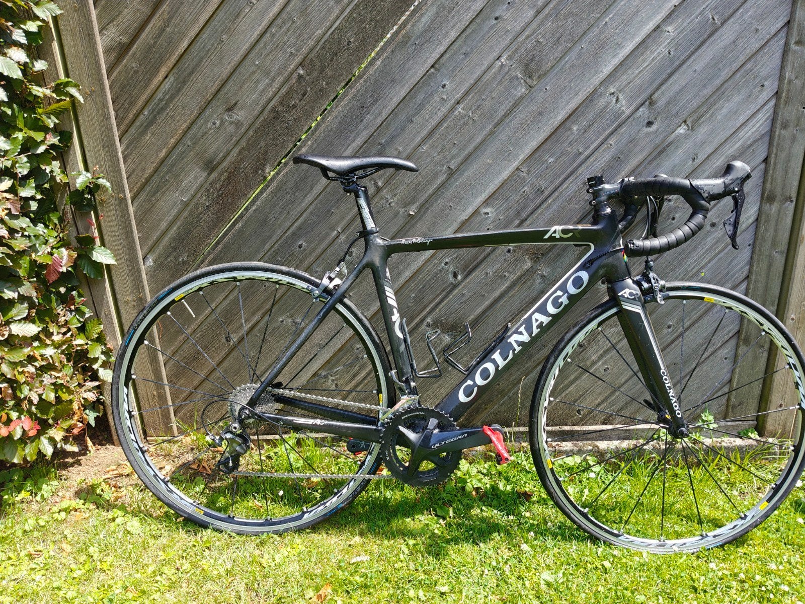 Racefiets Colnago, Ophalen, Gebruikt, Carbon, 15 tot 20 versnellingen