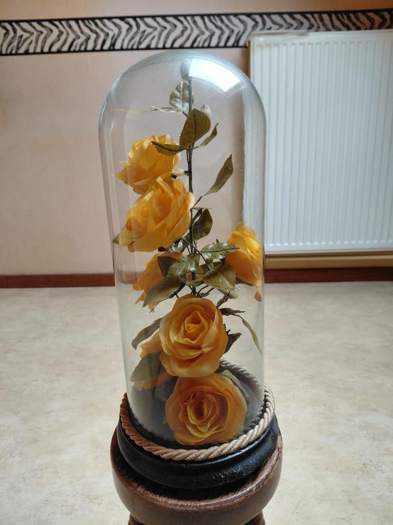 Bloemen onder glazen stolp, Enlèvement ou Envoi, Utilisé