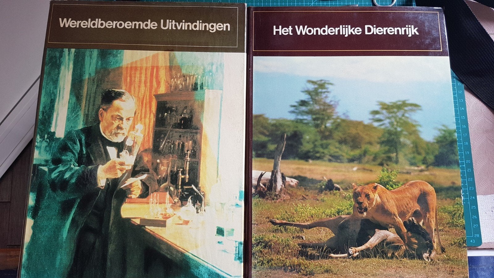 Gratis boeken, Boeken, Ophalen