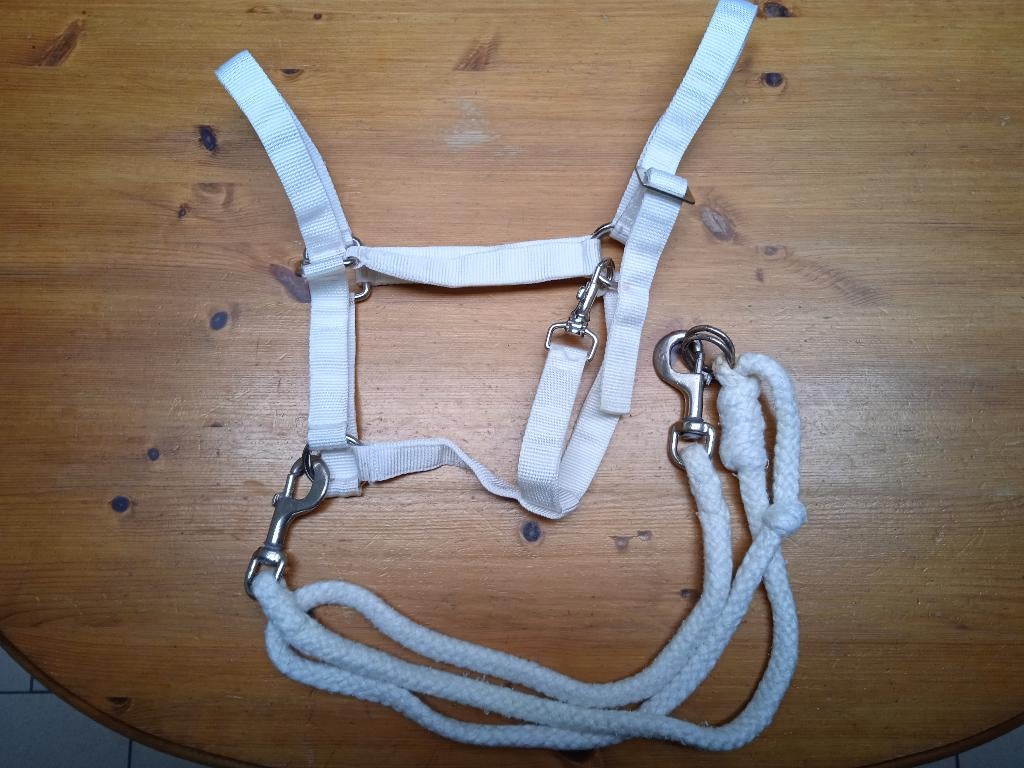 Licol +longe + 1 paire de gants -Matériel d'équitation blanc, Enlèvement, Utilisé