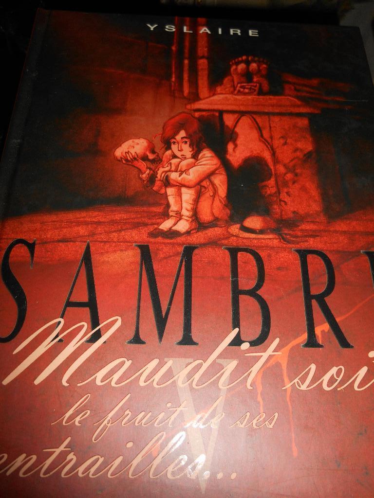 SAMBRE V eo "Maudit soit le fruit de ses entrailles", Livres, Enlèvement ou Envoi