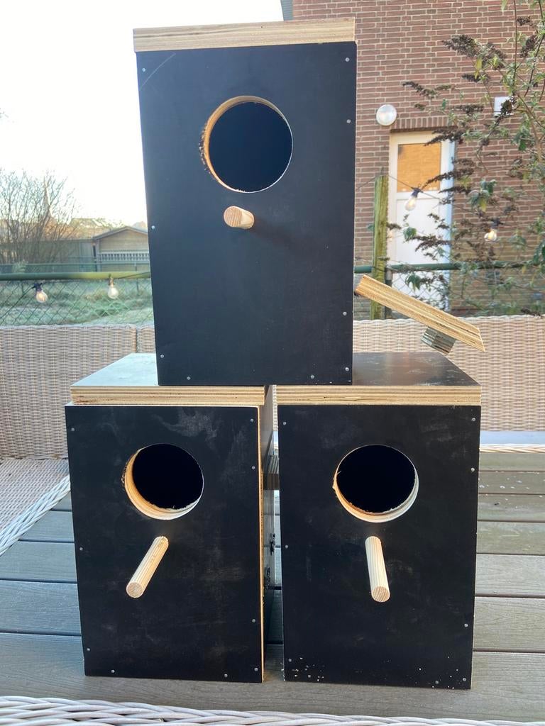 Broedblokken voor parkieten, Dieren en Toebehoren, Ophalen, Nieuw, Hout