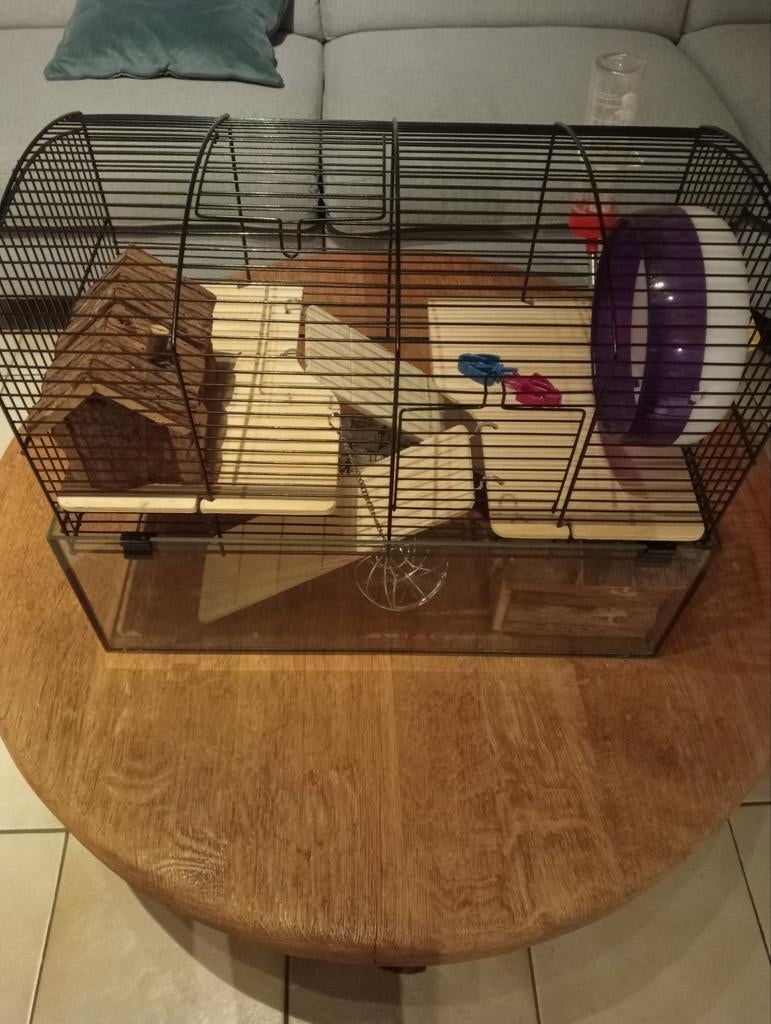 Knaagdieren kooi hamsters muizen gerbils aquarium compleet, Dieren en Toebehoren, Ophalen, Kooi