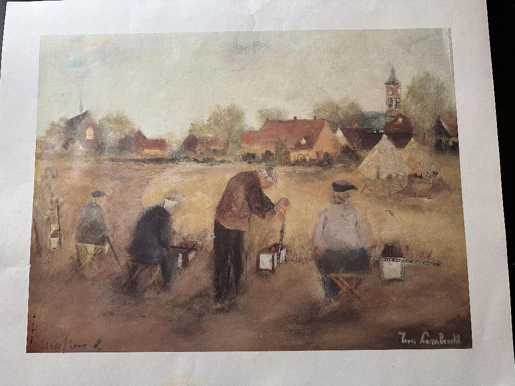 Reproductie vinkenzetting, Enlèvement