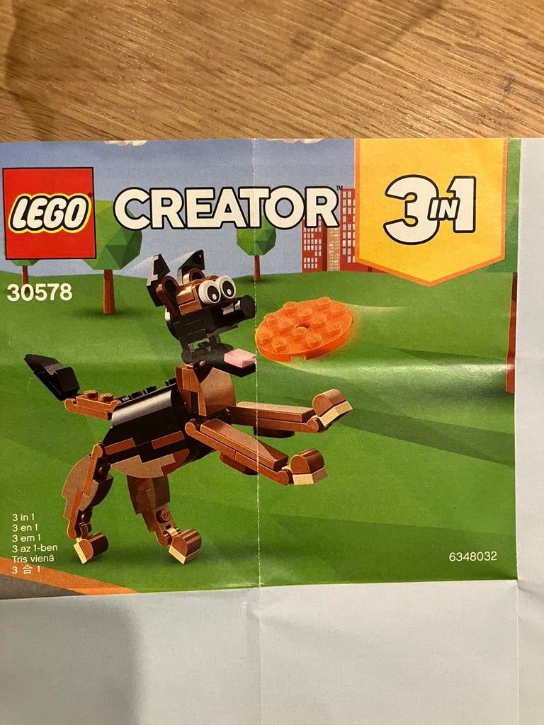 Lego 30578 creator, Ophalen of Verzenden, Zo goed als nieuw, Complete set, Lego