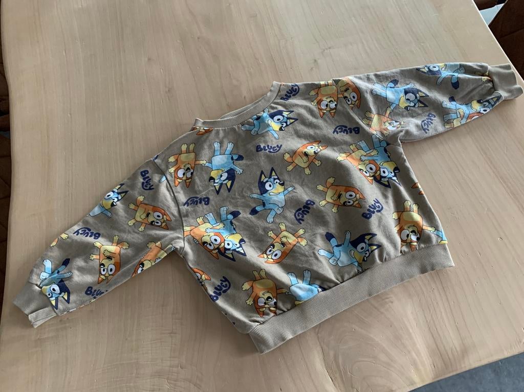 Bluey trui, Ophalen of Verzenden, Gebruikt, Jongen, Trui of Vest