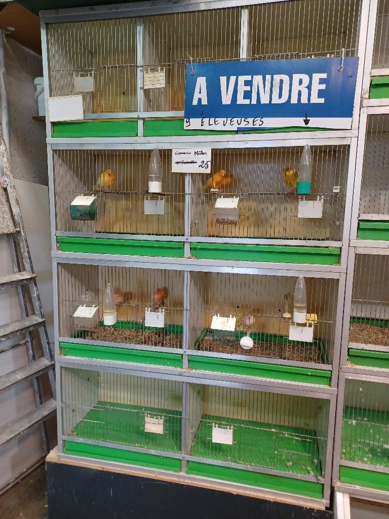 A donner commerce animalerie, graineterie, Articles professionnels