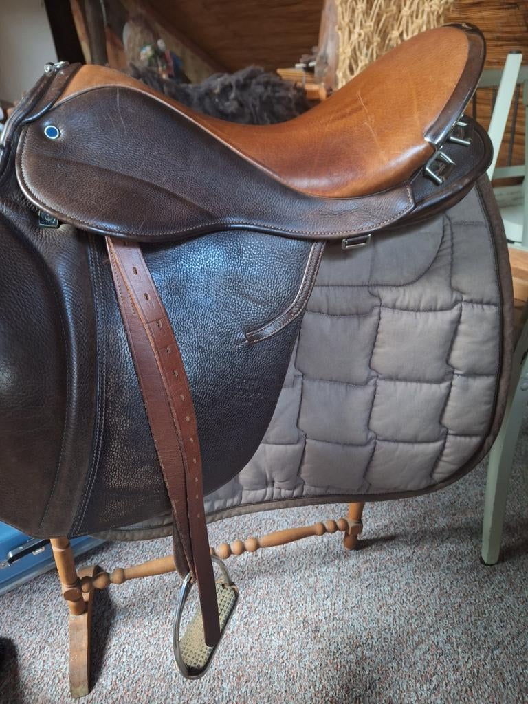 Selle Stubbe Scout, Enlèvement