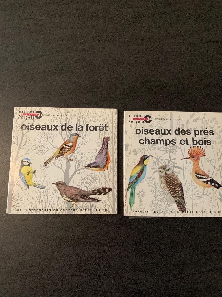 2 singles met vogelzang, Ophalen of Verzenden, Gebruikt, Single