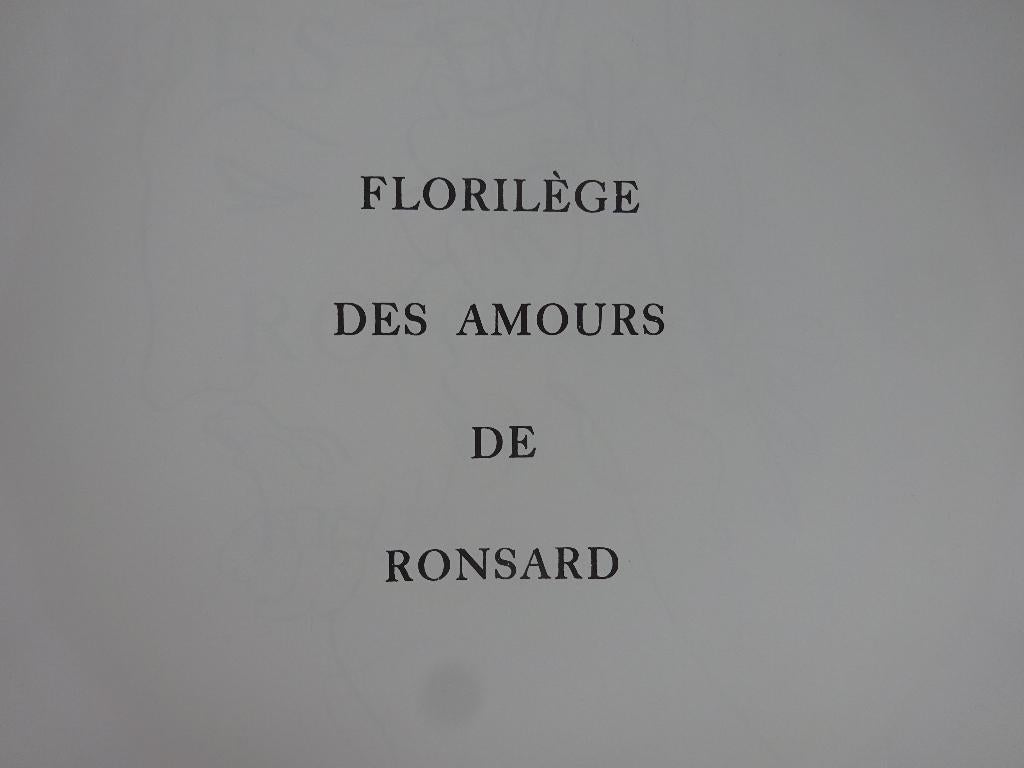 Matisse, florilège des amours de Ronsard, 1993 Skira, Ophalen of Verzenden, Gelezen, Schilder- en Tekenkunst