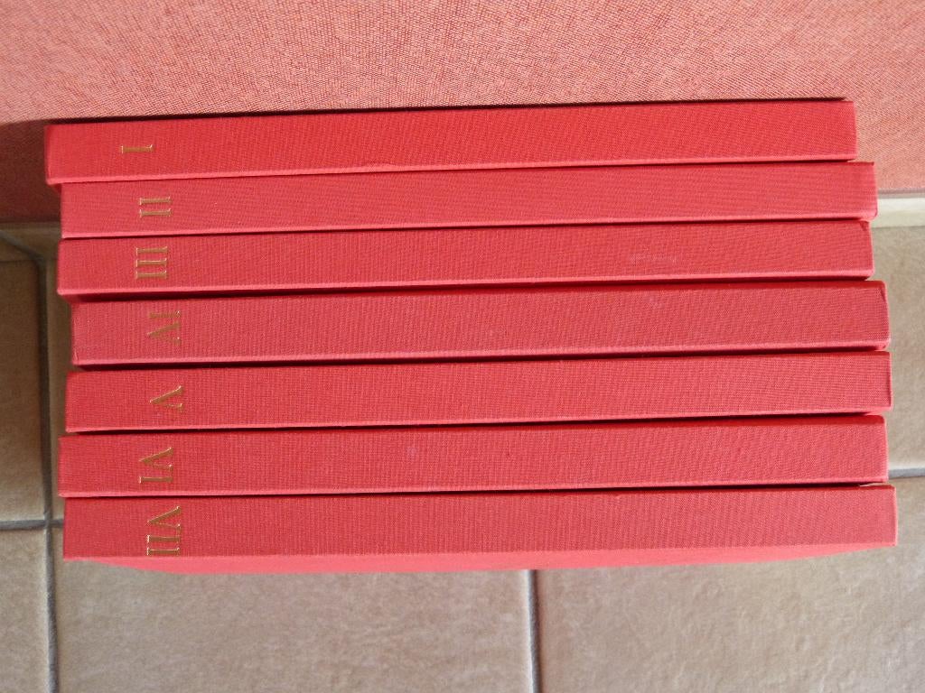 soubry boeken, Boeken, Prentenboeken en Plaatjesalbums, Ophalen of Verzenden, Zo goed als nieuw