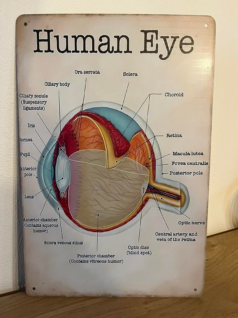 Plaque metallique human eye oeil humain ophtalmo optic, Maison & Meubles, Enlèvement ou Envoi, Comme neuf