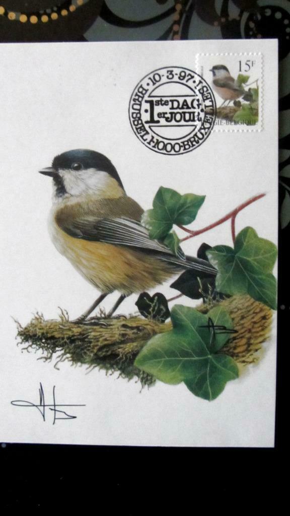 FIRST DAY OP KAART- VOGELS VAN BUZIN- DE MATKOP, Ophalen of Verzenden, Gestempeld, Dier of Natuur