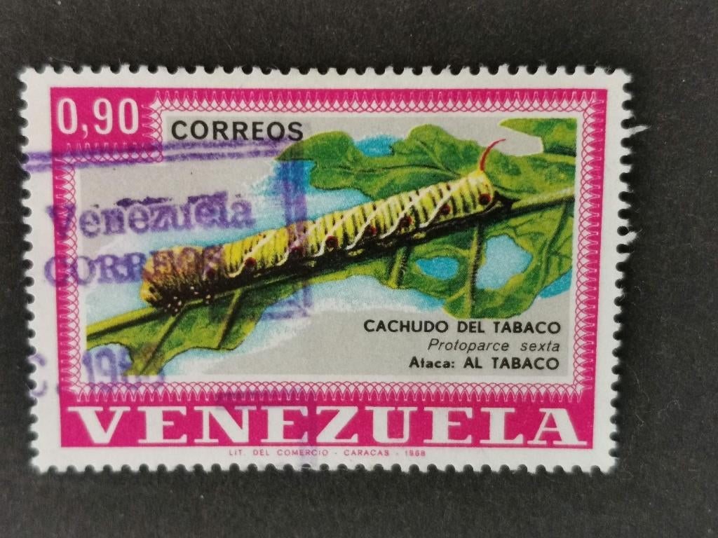 Venezuela 1968 - insectes - papillons, tarte au tabac, Enlèvement ou Envoi, Affranchi, Amérique du Sud