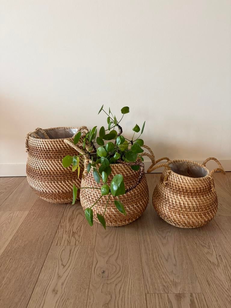 Set van 3 gevlochten rotan bloempotten, Ophalen, Zo goed als nieuw, Rond