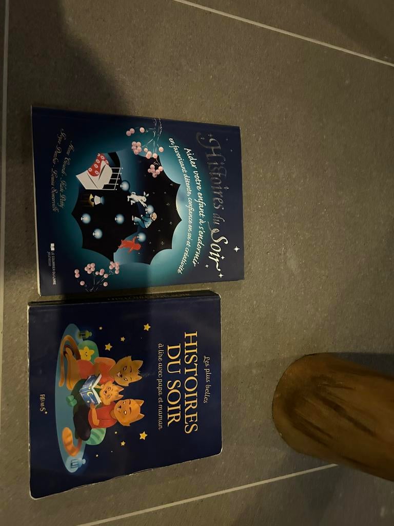 2 livres en français - histoires du soir, Garçon ou Fille, Comme neuf, Enlèvement, Contes (de fées)