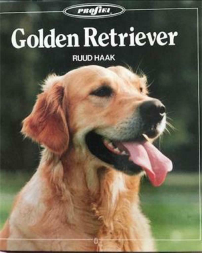 Golden Retriever, Ruud Haak, Enlèvement ou Envoi, Utilisé, Chiens