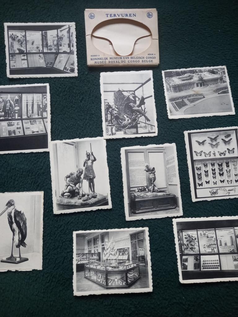 Fotos Tervuren  koninklijk museum van belgisch Congo, Verzamelen, Ophalen