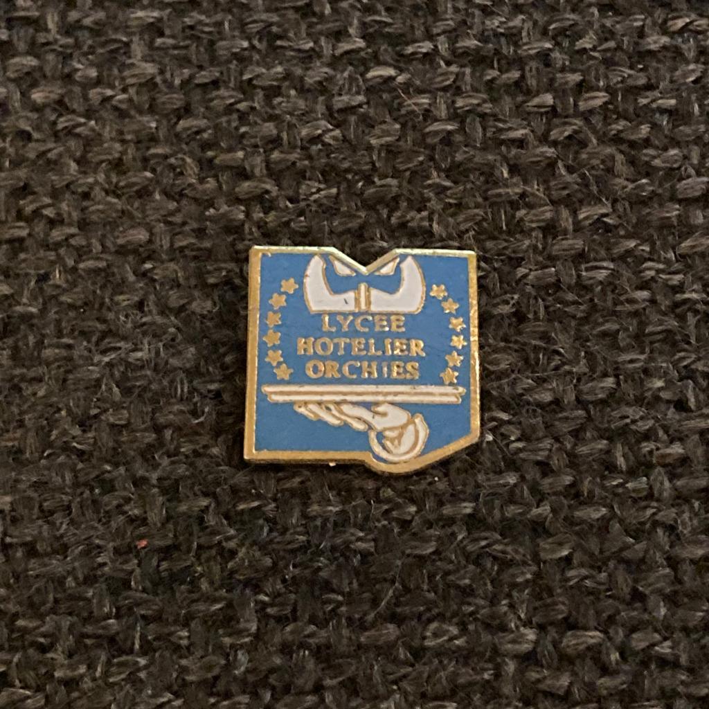 PIN - LYCEE HOTELIER ORCHIES - HOTELSCHOOL - HOTEL, Envoi, Utilisé, Autres sujets/thèmes, Insigne ou Pin's