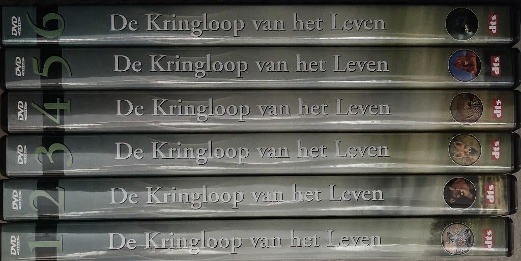 De kringloop van het Leven, Cd's en Dvd's, Ophalen of Verzenden, Zo goed als nieuw