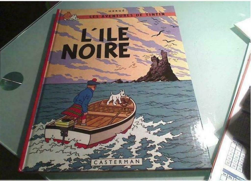 L'île noire, excellent état de conservation, comme neuf, Livres, Une BD, Enlèvement ou Envoi, Comme neuf