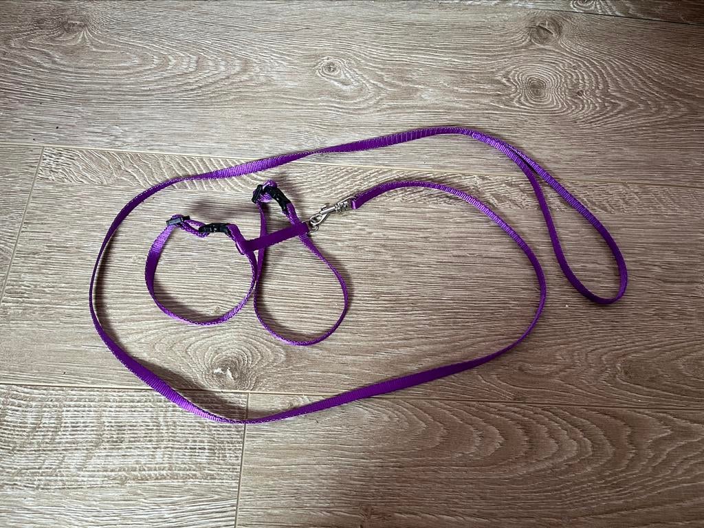 Kitten halsband/harnas paars, Dieren en Toebehoren, Ophalen of Verzenden, Zo goed als nieuw