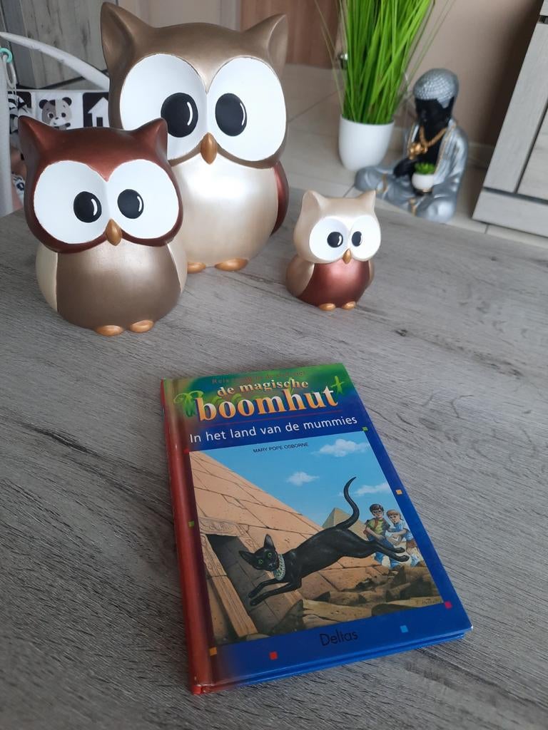 De magische boomhut - in het land van de mummies, Boeken, Ophalen of Verzenden
