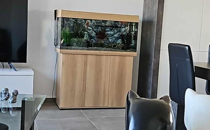 Juwel 180 liter aquarium met bijhorende kast, Dieren en Toebehoren, Ophalen