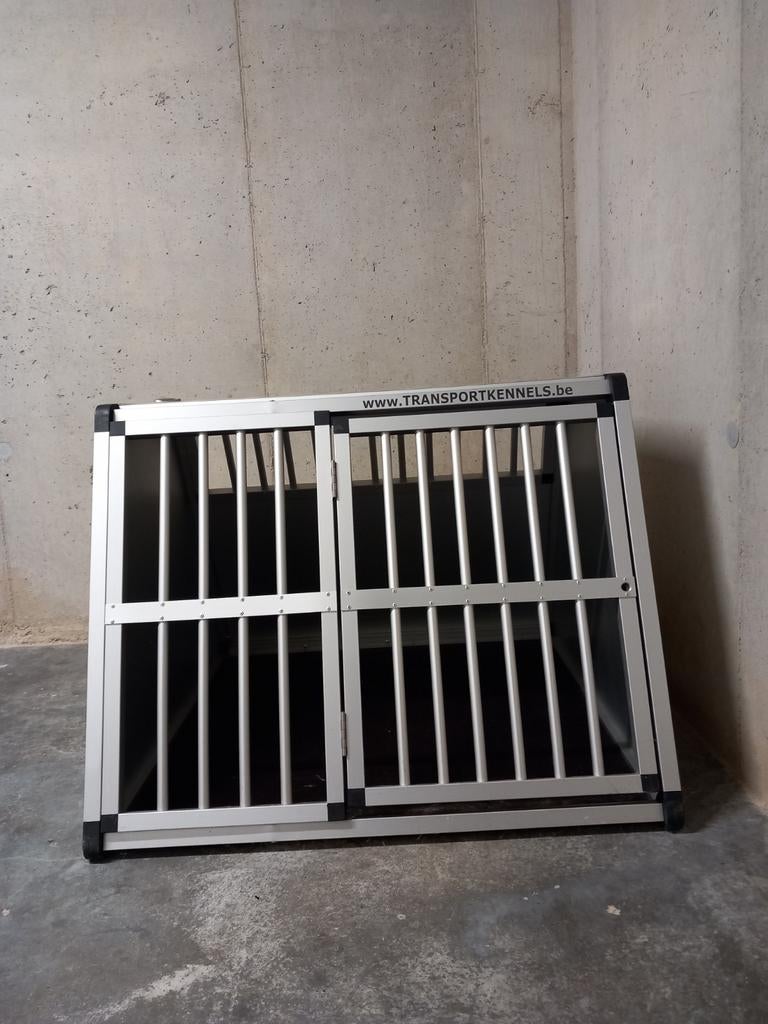Autobench hond, Enlèvement