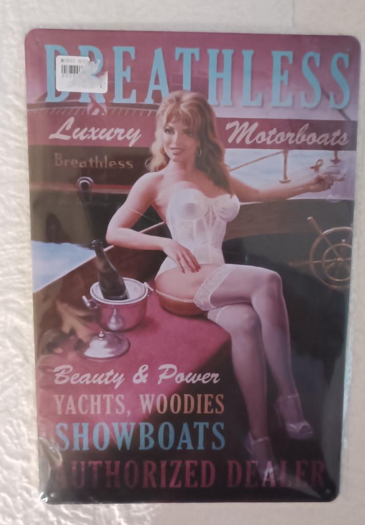 Plaque En Métal - (PinUp Lingerie Blanche), Enlèvement ou Envoi, Neuf, Emballage