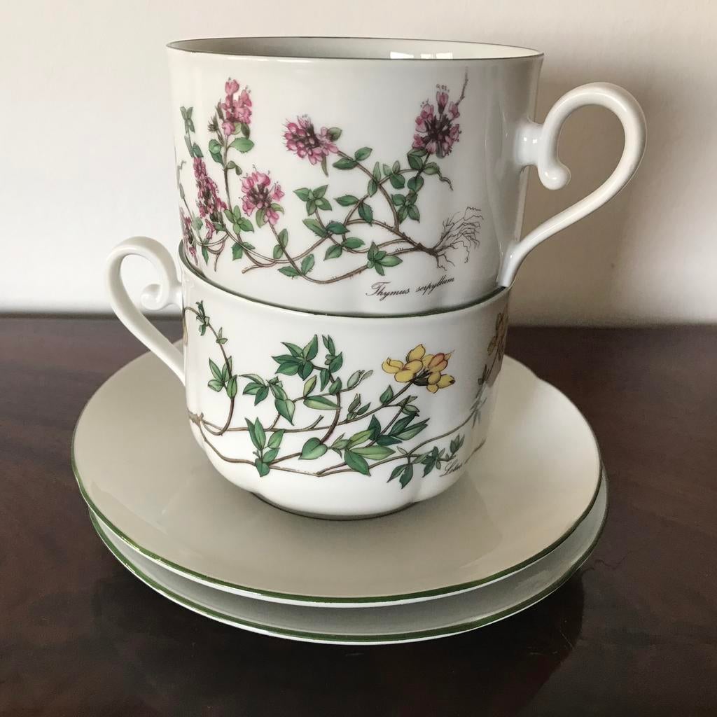 Seltmann Weiden porseleinen setje, Antiek en Kunst, Antiek | Servies los, Ophalen of Verzenden