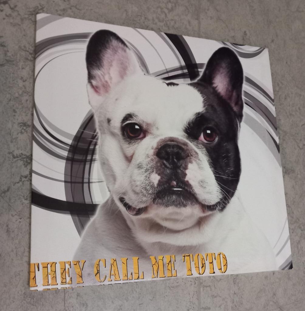 Lijsten/canvas (Franse bulldog, stiksel), Ophalen, Zo goed als nieuw, Minder dan 50 cm, Minder dan 50 cm