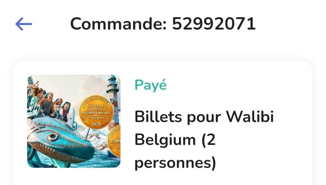 2 places walibi, Tickets & Billets, Deux personnes, Ticket ou Carte d'accès