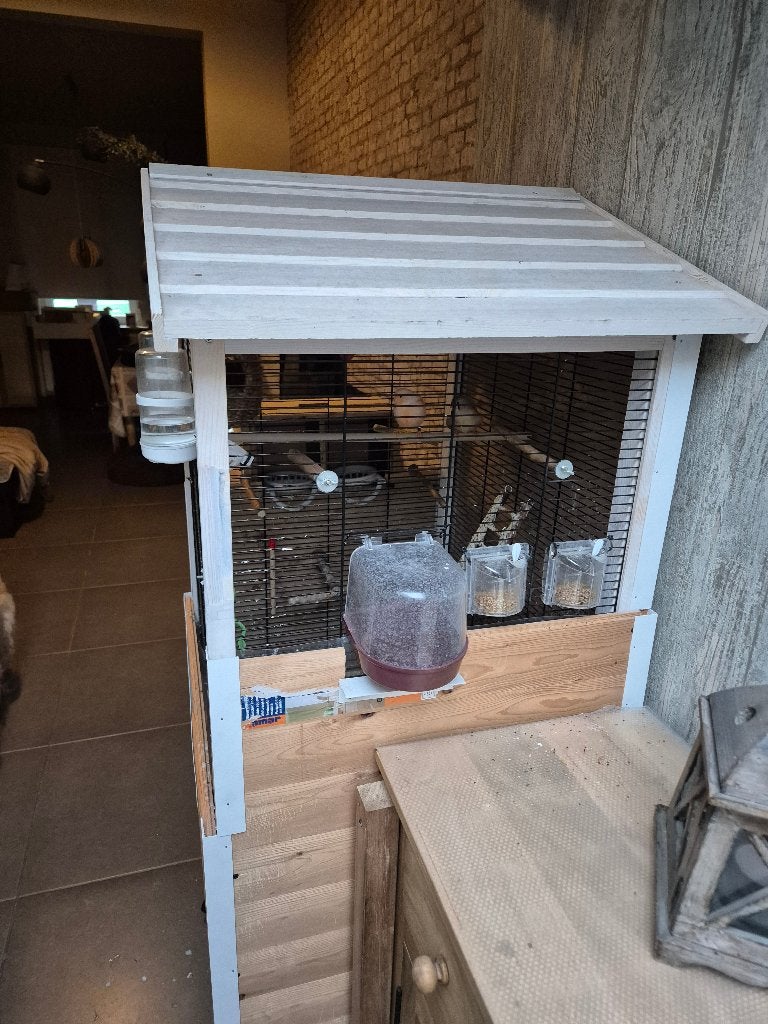 Een mooie vogelkooie, Dieren en Toebehoren, Pluimvee, Overige soorten