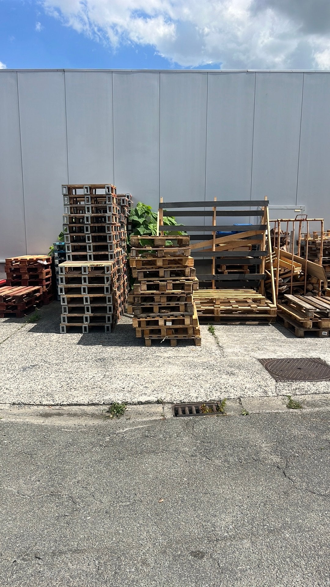 Gratis Pallets brandhout, Tuin en Terras, Brandhout, Ophalen of Verzenden