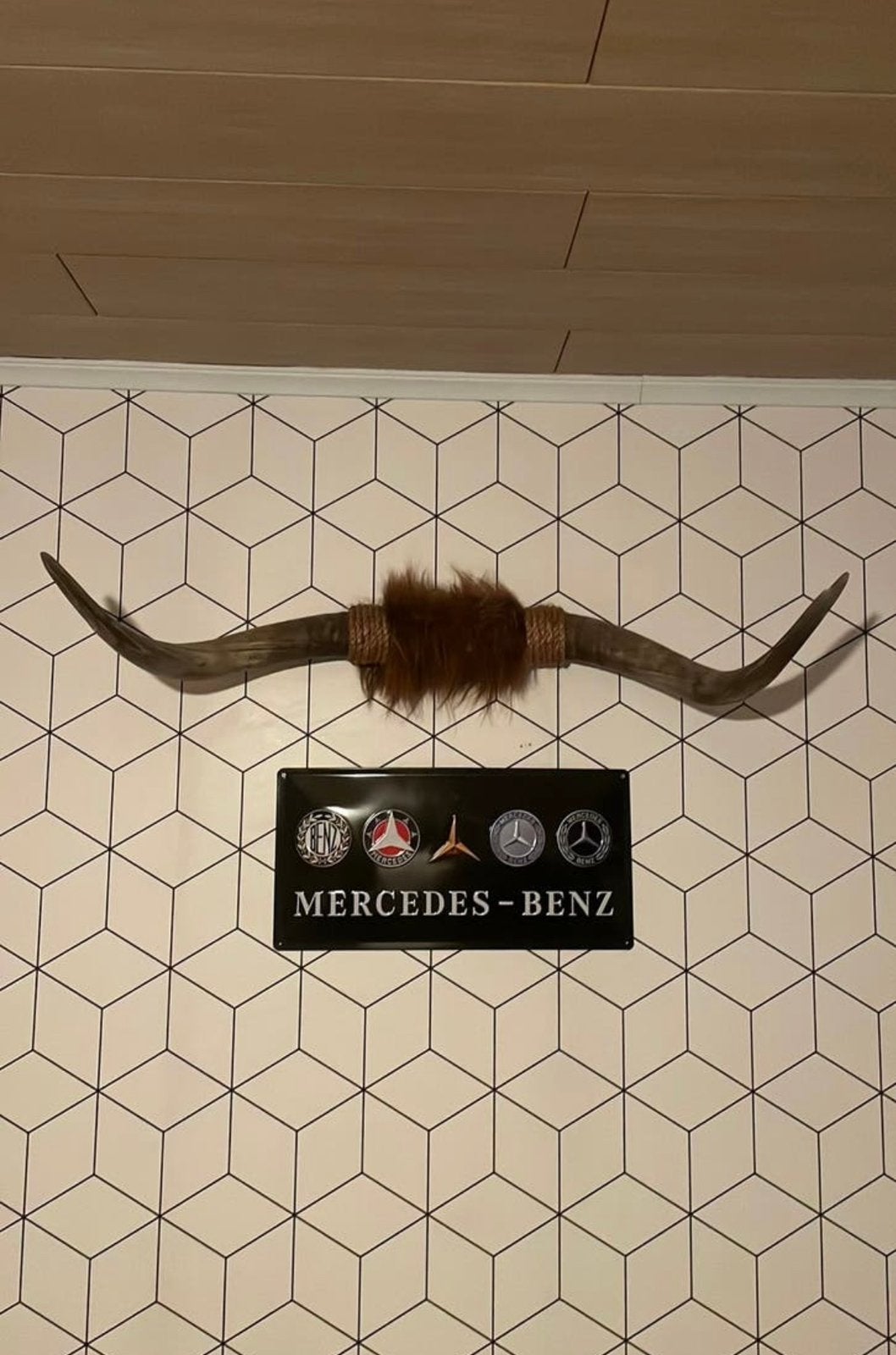 Bullbar schotse hooglander 90cm, Dieren en Toebehoren