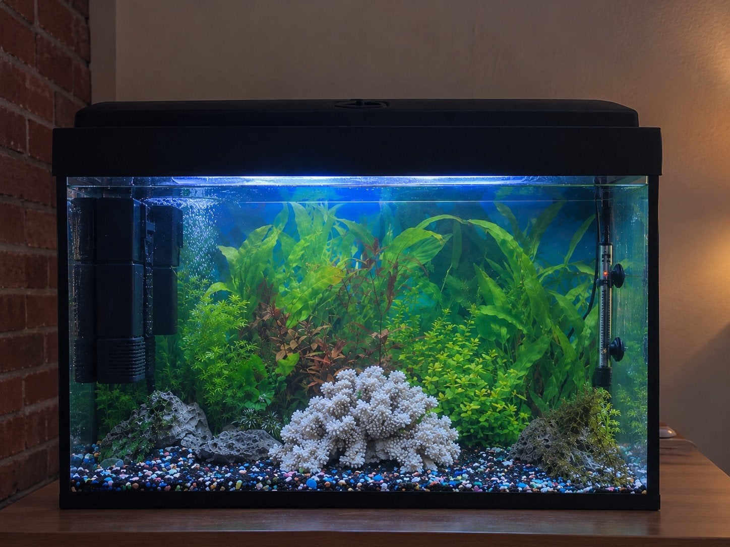 Mooi aquarium van 81 liter met verlichting, filter, verwarmi, Dieren en Toebehoren, Ophalen, Inclusief deksel, Nieuw, Decoratie