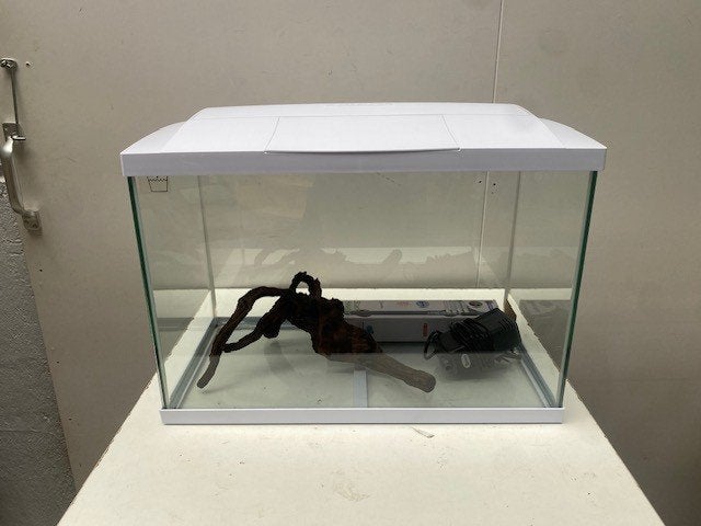 (19) Recente complete aquarium met toebehoren., Ophalen, Zo goed als nieuw