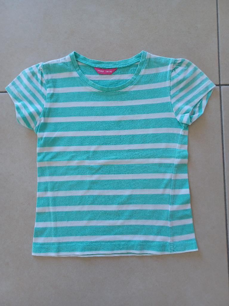 T-shirts maat 110, Enlèvement, Utilisé, Fille, Chemise ou À manches longues
