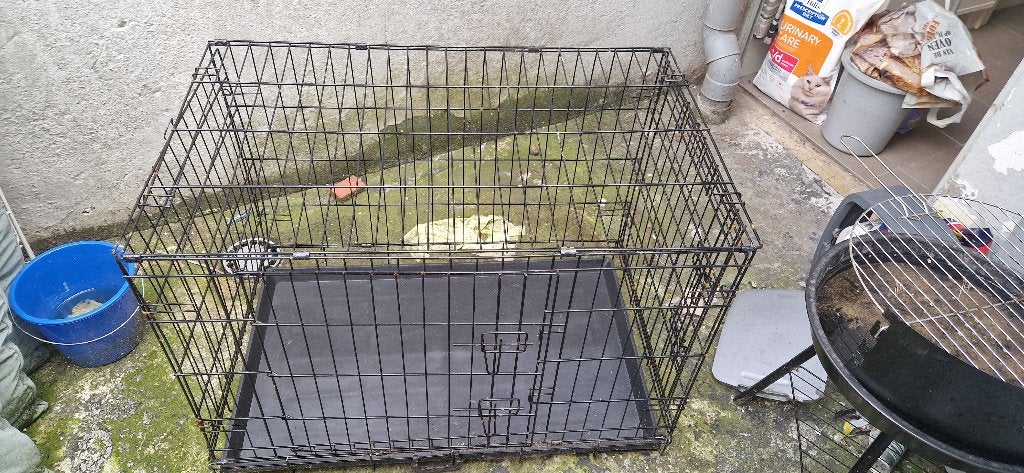 kennel, Animaux & Accessoires, Enlèvement, Utilisé, Chenil chien