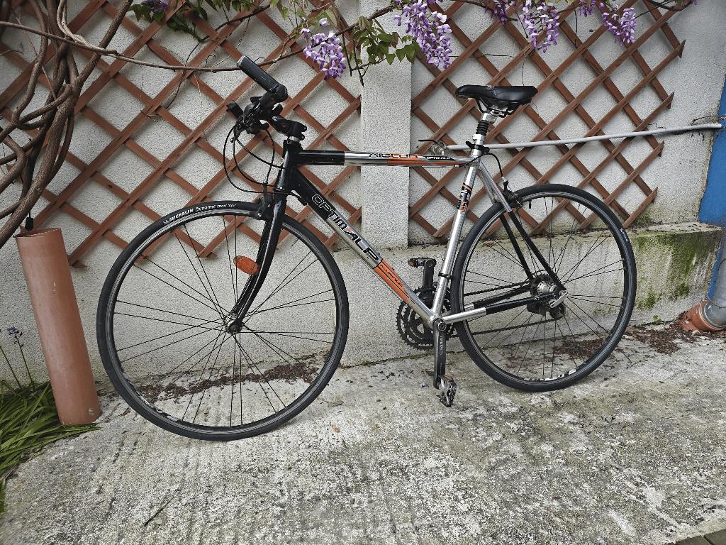 Optimalp-fiets, Gebruikt, Velgrem, Versnellingen, 53 tot 57 cm