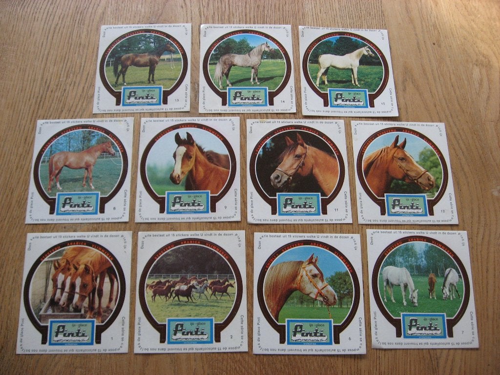 Stickers  Stoeterij Arabica Vlimmeren Pinti ijs, Enlèvement ou Envoi, Neuf, Animal et Nature