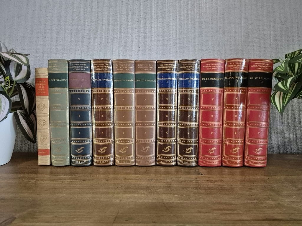 lot 2 decoratieve boeken, Boeken, Ophalen, Zo goed als nieuw