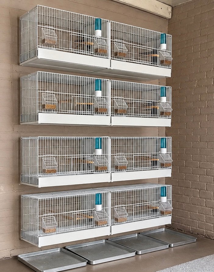 Keeekkooien, Dieren en Toebehoren, Ophalen, Zo goed als nieuw, Metaal, Broedkooi of Kweekkooi