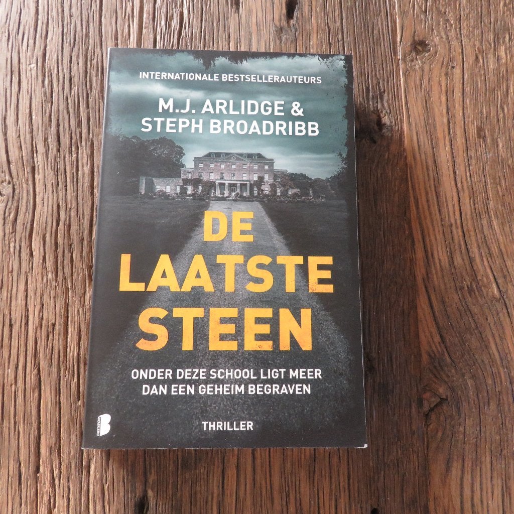 M.J. Arlidge & Steph Broadribb De laatste steen, Boeken, Ophalen of Verzenden
