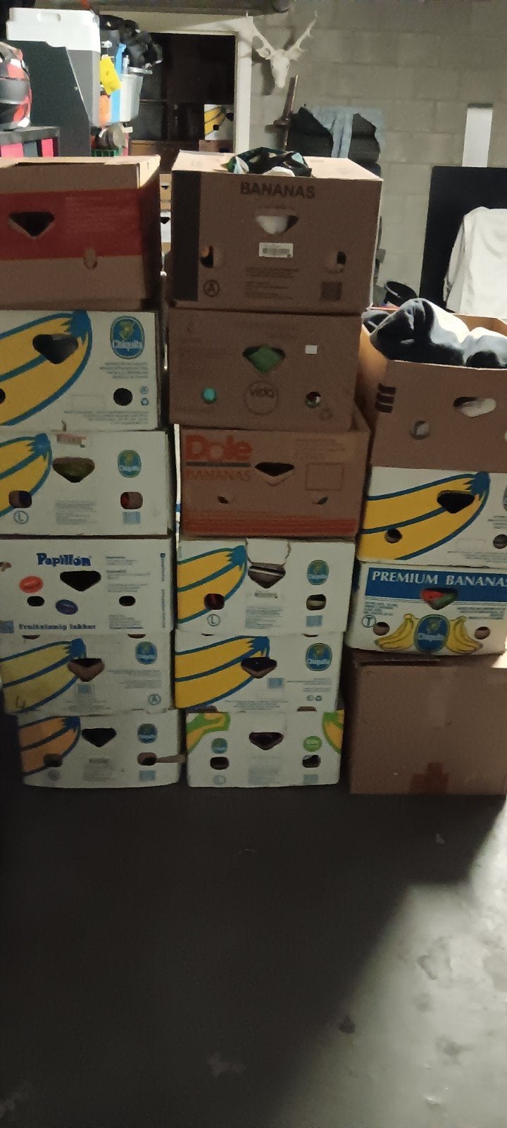 bananendozen rommelmarkt, Enlèvement