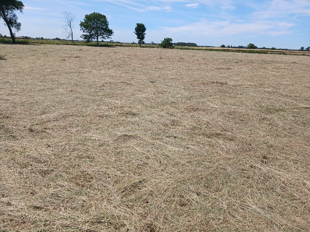 Kleine balen hooi., Dieren en Toebehoren, Ophalen