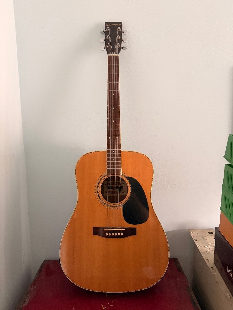 Guitare acoustique folk Daytone dreadnought vintage bon état, Enlèvement, Utilisé, Guitare classique ou espagnole
